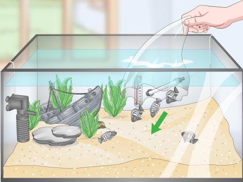 Фильтрация воды в аквариуме своими руками
