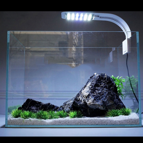 Аквариум травник - природный аквариум с живыми растениями своими руками с полезным фото-видео