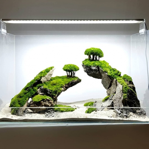 Оформление аквариума своими руками - идеи и решения | Дизайн аквариума, Аквариум, Экосистемы