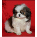 Мальчик хин