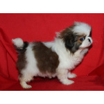 Мальчик хин