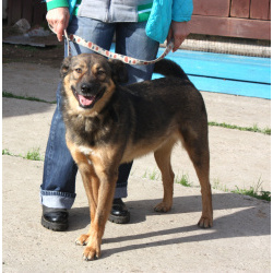 Классный мальчишка Тимка ждет свою семью