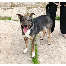 ШАНС для ласкушечки Мэри на дом и любимую семью