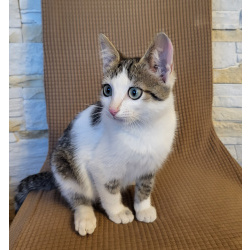 Гатауллина Аэлита Марсовна