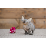 Кто же не любит подарки (Эльф, бамбино, Двэльф, канадский сфинкс)?