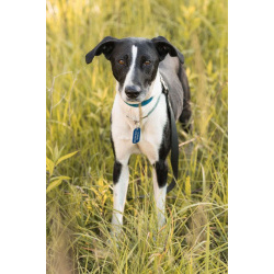 Тихон нуждается в новой истории!