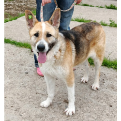 Супер позитивная девчонка Зира ищет своего ЧЕЛОВЕКА