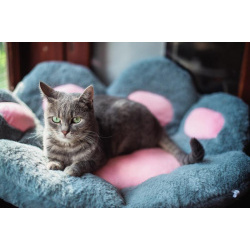 Нежная и ласковая Зоя ищет свою семью.