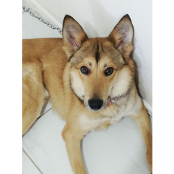 Джек ищет свой дом