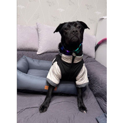 Ищу лучшую семью для лучшего мальчика!