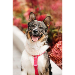 Ураган Маруф в поисках своего человека!