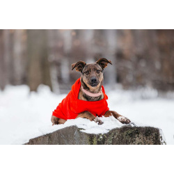 Стася ищет дом — и сердце, в котором она снова будет нужной.