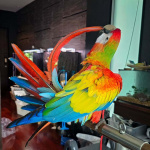 Гибрид ара Шамлет - птенцы