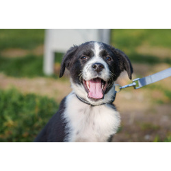 Ищу родителей! В добрые руки.