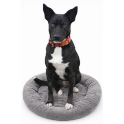 Чудесная собачка Марси ищет дом и семью!