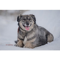 Ласковая, жизнерадостная, позитивная Златочка ждет свою семью, мечтает о доме.