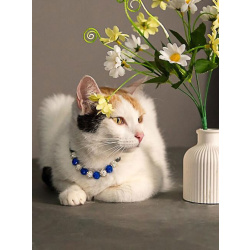 Ласковая и нежная кошечка Снежинка ищет дом