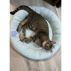 Спасите Яшку !