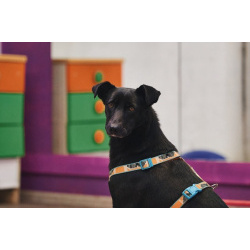 Чернушка: та, кто научит ценить доверие.