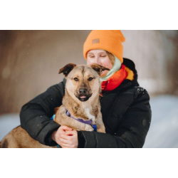 Сади, собака-подросток, которая не умеет любить вполсилы