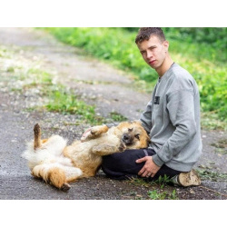 Умница и добряк Микки ищет дом.