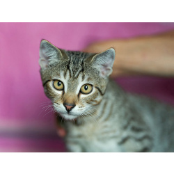 Он один остался ждать свою семью
