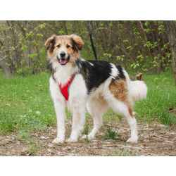 Дюша: внешность — это только начало магии