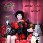 питомник "Callisto Lines" Казань: питомник 